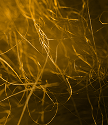 魔刻科技深入研究新型高分子纤维及其非织造材料